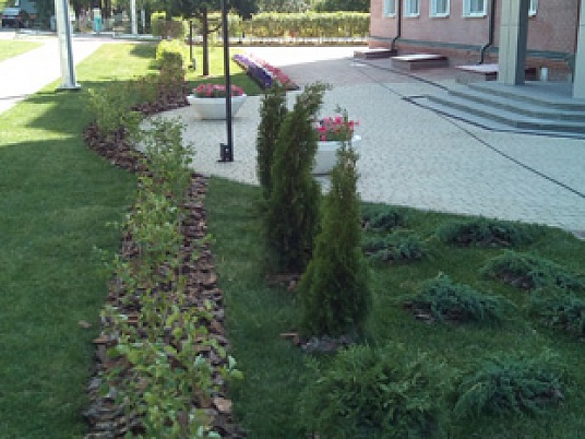 газон и декоративные растения перед зданием Лукойл